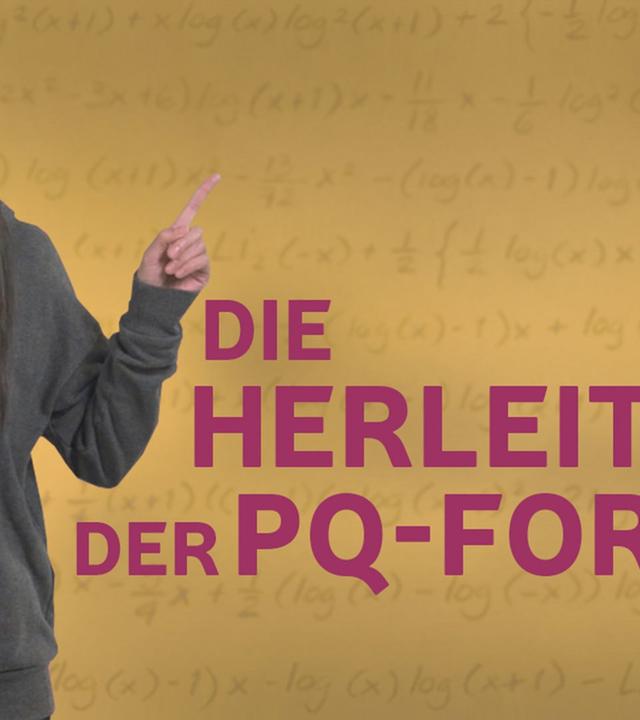 Woher kommt die pq-Formel? I musstewissen Mathe