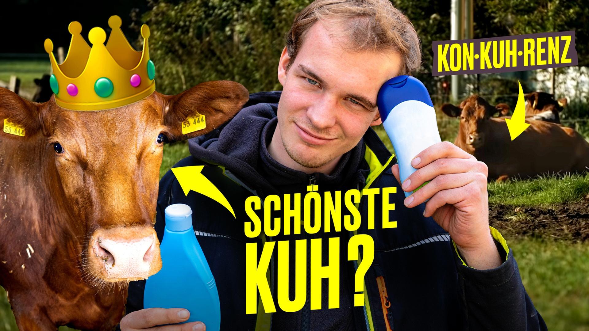 WTF?!  Schönheitswettbewerbe für Kühe: Landwirt testet ️‍️ I Hundert Hektar Heimat