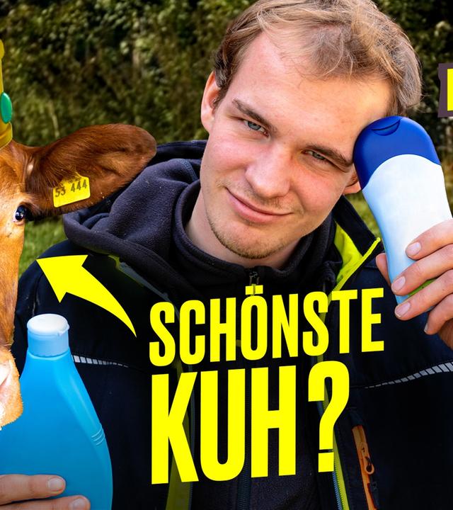 WTF?!  Schönheitswettbewerbe für Kühe: Landwirt testet ️‍️ I Hundert Hektar Heimat