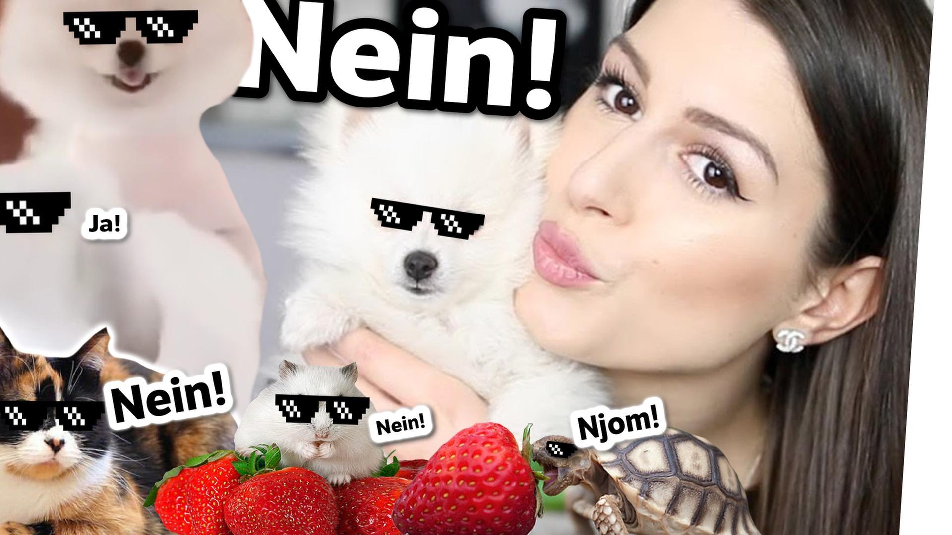 YouTube-Tiere im Klick-Knast!  Mieses Clickbait u.a. von Sarah Desideria & Simon Desue