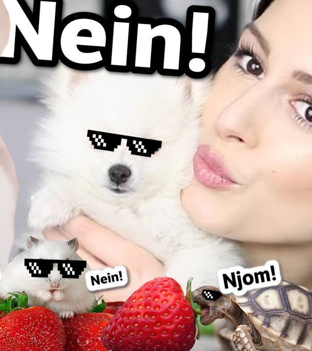 YouTube-Tiere im Klick-Knast!  Mieses Clickbait u.a. von Sarah Desideria & Simon Desue