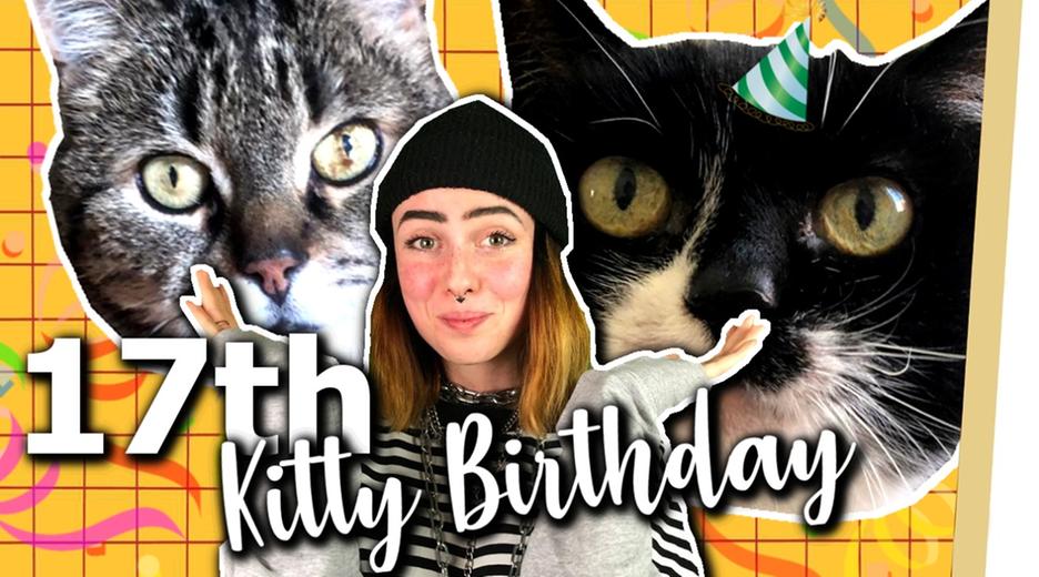 YouTuber singen Happy Birthday für meine Katzen! - 17 Catfacts