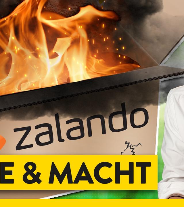 Zalandos Weg nach Oben: Kleider machen Beute - WALULIS