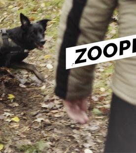 Zoophilie - Sex mit Tieren