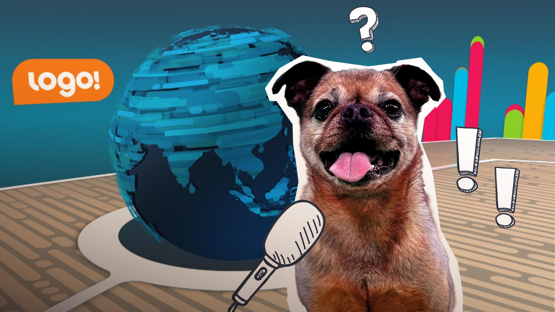 Ein fast normaler logo!-Tag