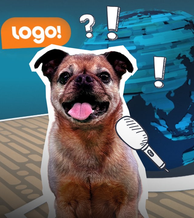 Ein fast normaler logo!-Tag