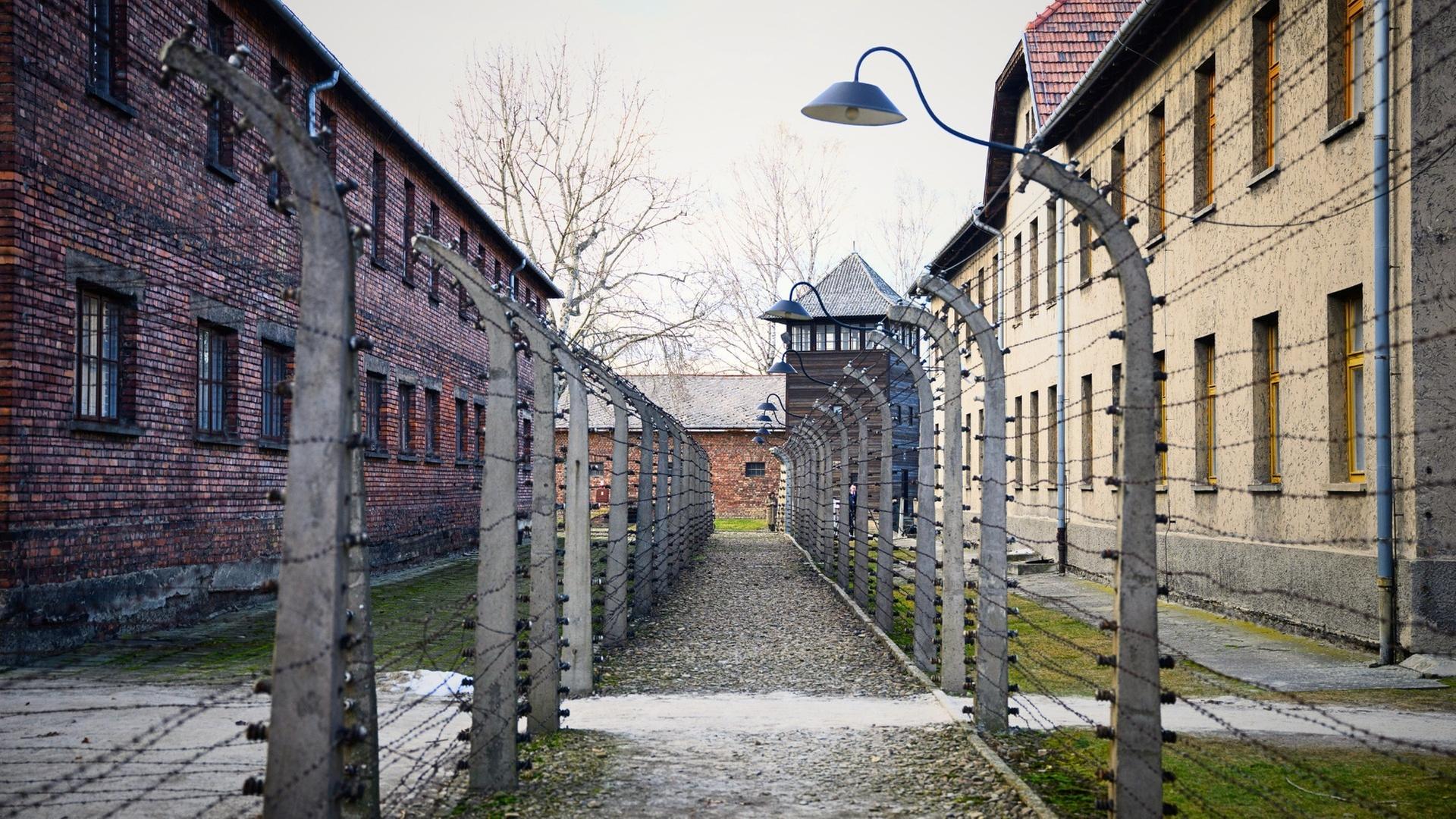 81. Jahrestag der Befreiung von Auschwitz