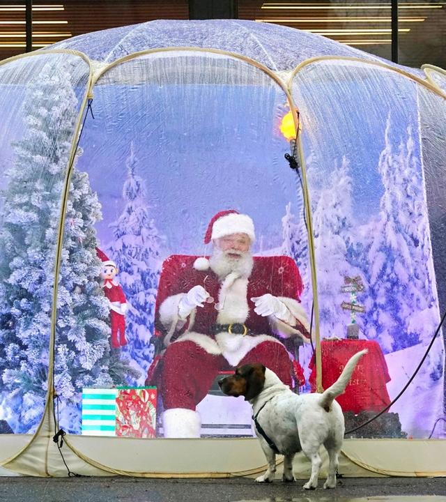 Advent im Lockdown - phoenix internationaler Frühschoppen