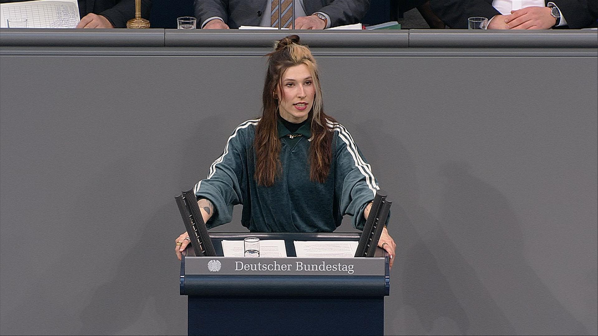 AfD-Antrag zu politischer Werbung