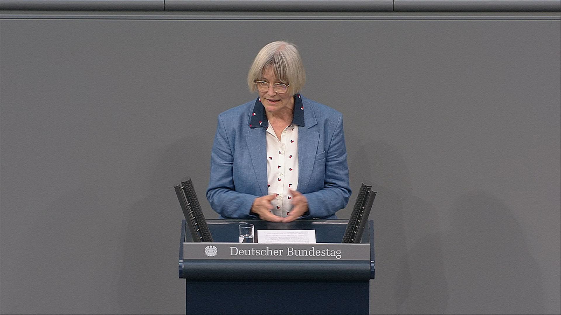 AfD-Antrag zur Asylpolitik