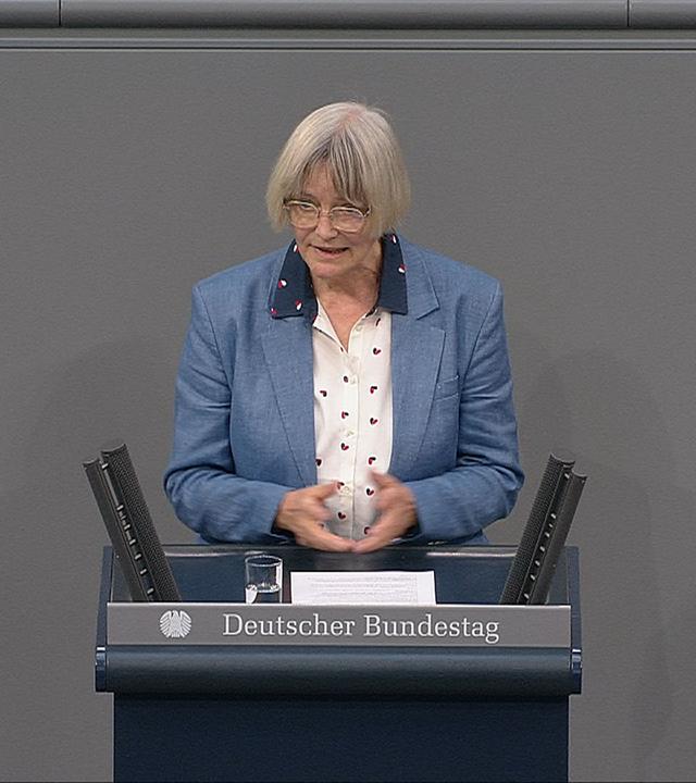 AfD-Antrag zur Asylpolitik