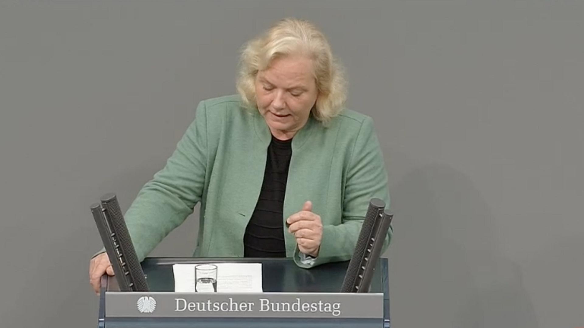 AfD-Antrag zur Zuwanderung