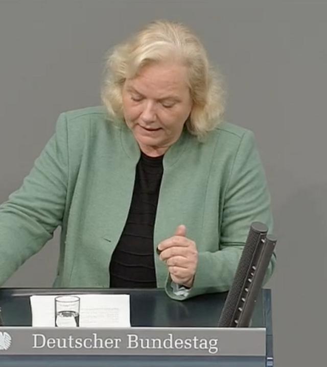 AfD-Antrag zur Zuwanderung