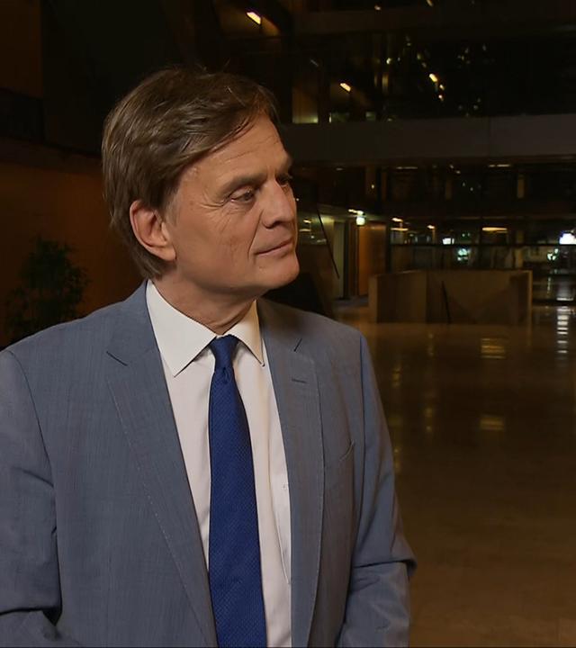 AfD-Ergebnis in Hamburg