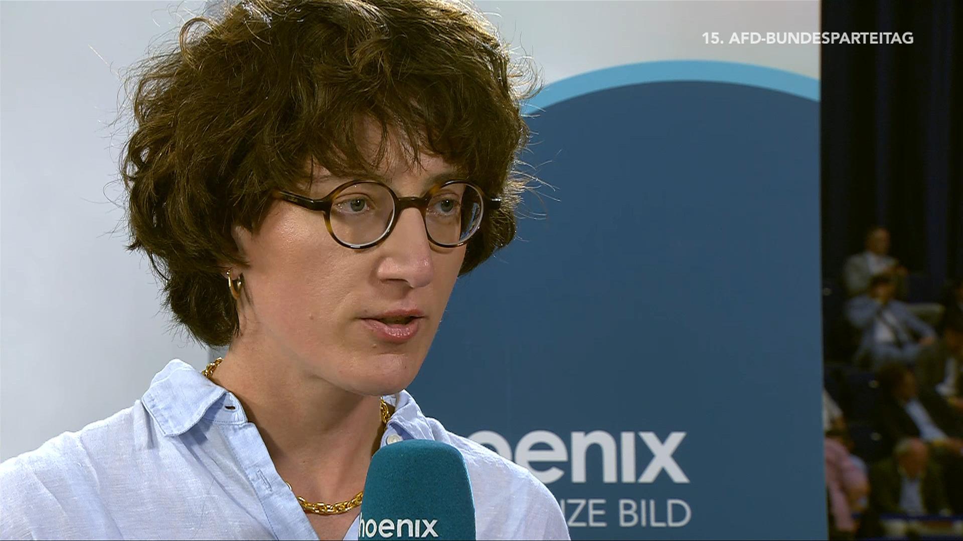 AfD-Parteitag: Journalistische Einschätzung