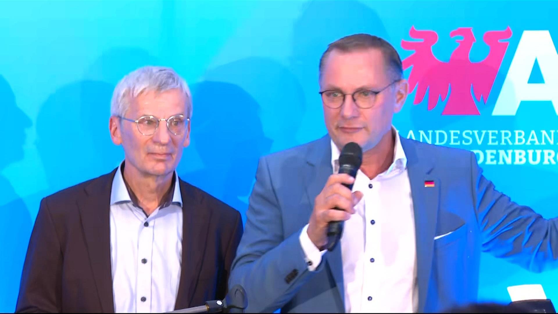 AfD-Statements zu Prognosen