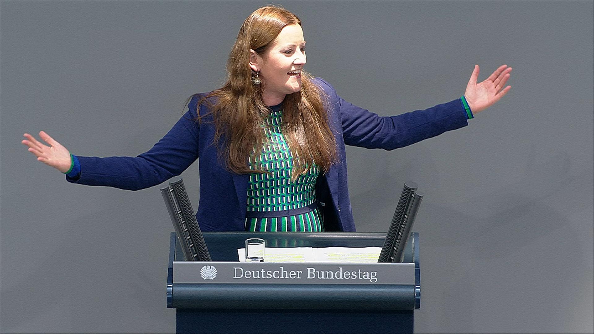 AfD will Kehrtwende bei erneuerbaren Energien