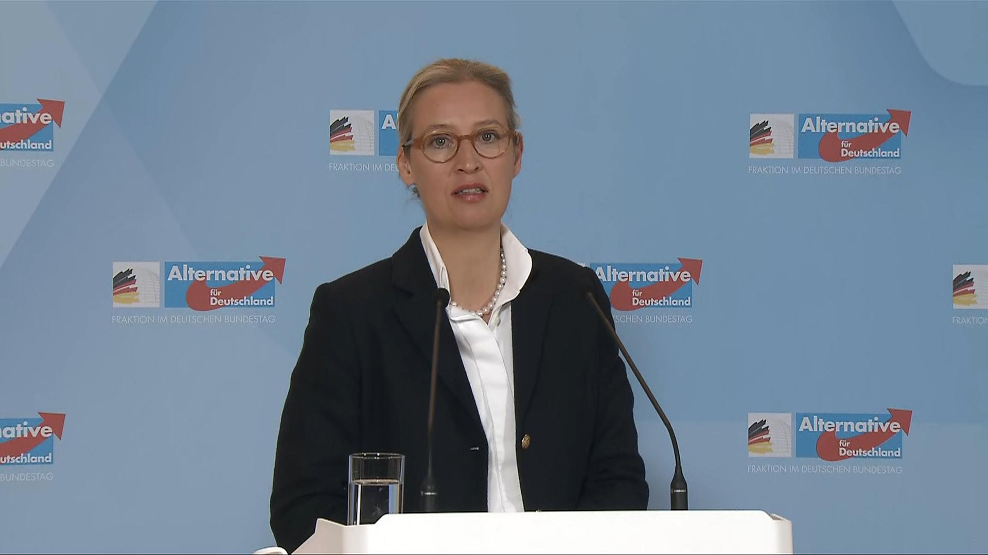 AfD zum Bruch der Ampel