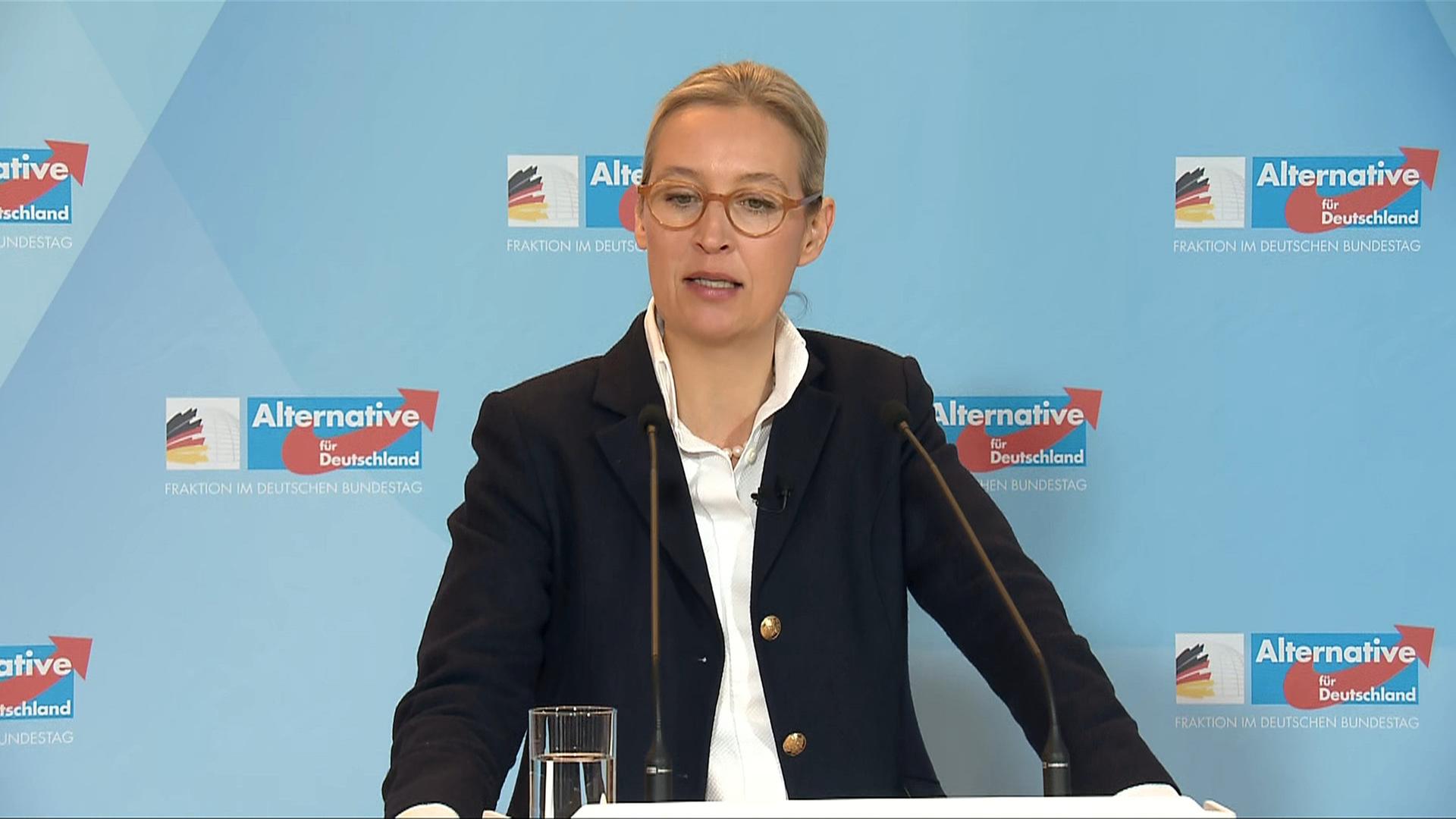 AfD zur Vertrauensfrage