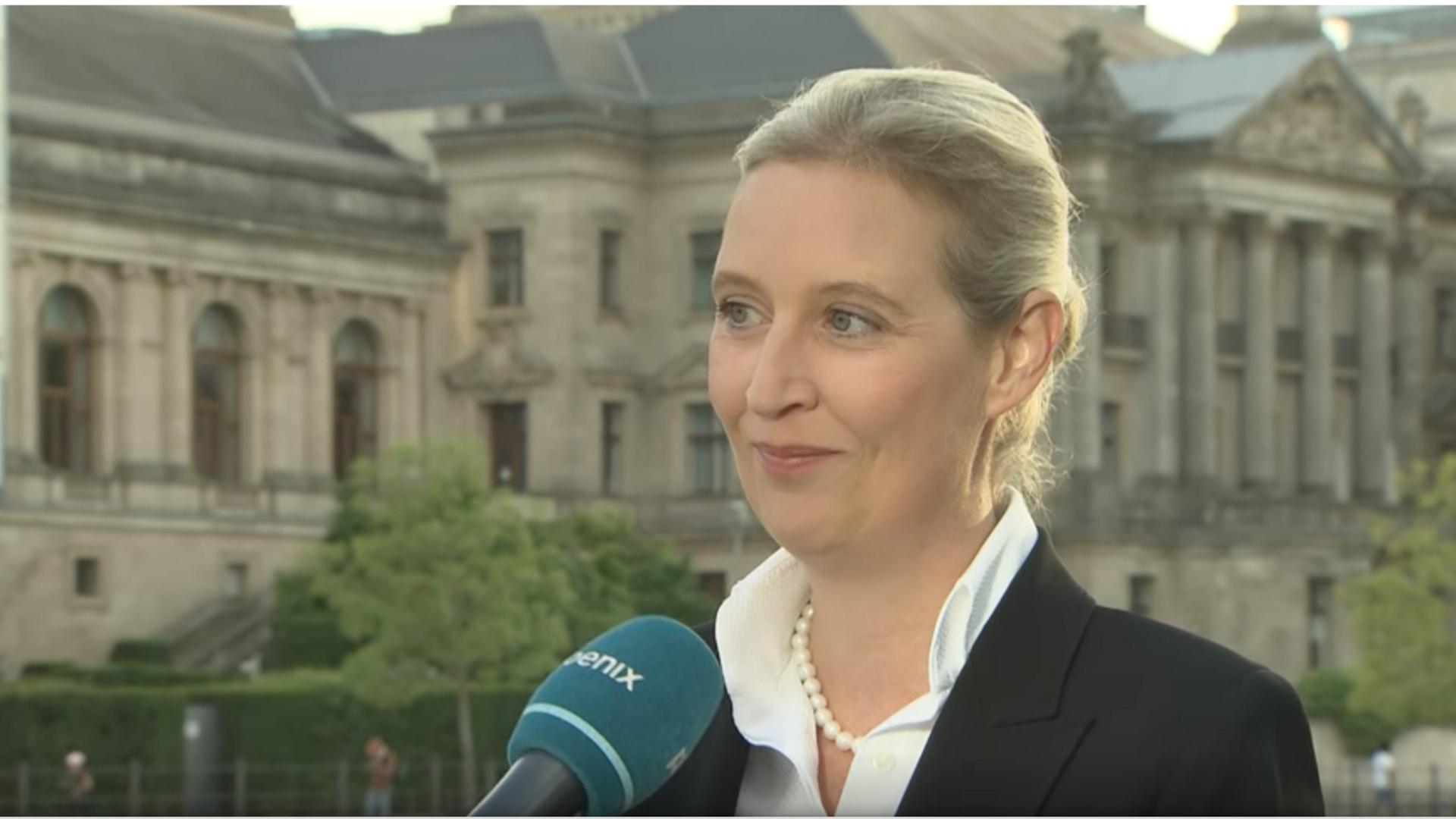 Alice Weidel (AfD) im Interview