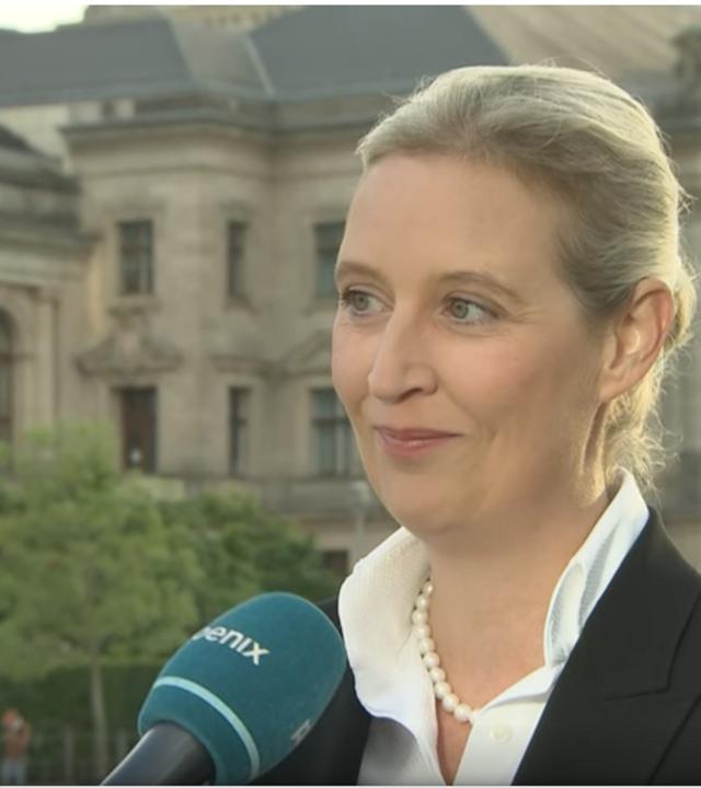 Alice Weidel (AfD) im Interview