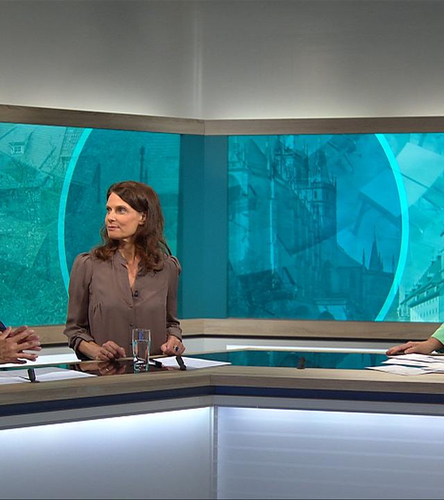 Analyse: Prof. Uwe Jun und Claudia Kade (Welt)