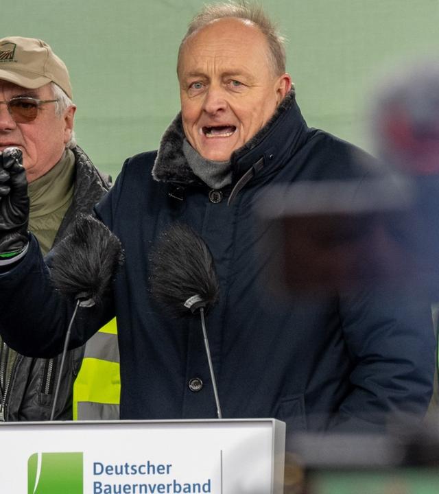 Bauern-Großkundgebung in Berlin