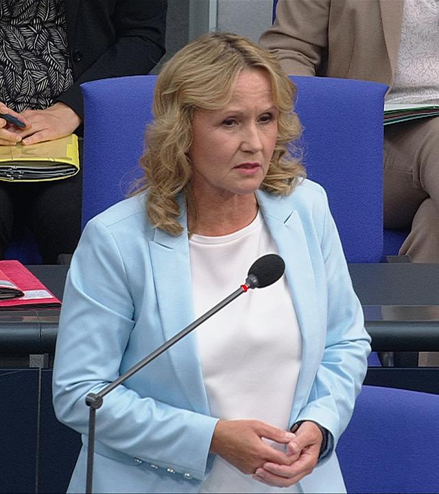 Bundestag befragt Lindner und Lemke