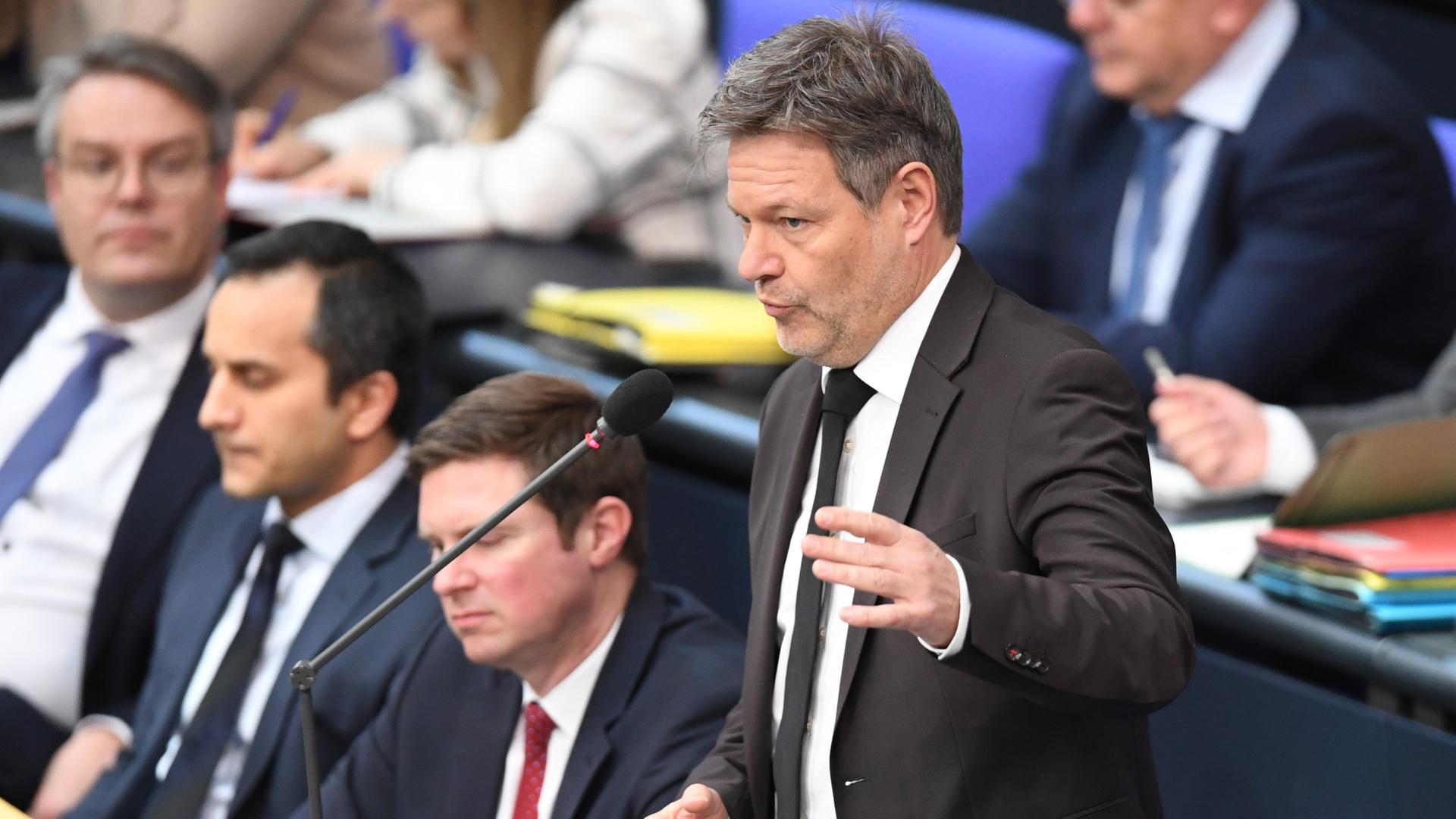 Bundestag befragt Schulze und Habeck