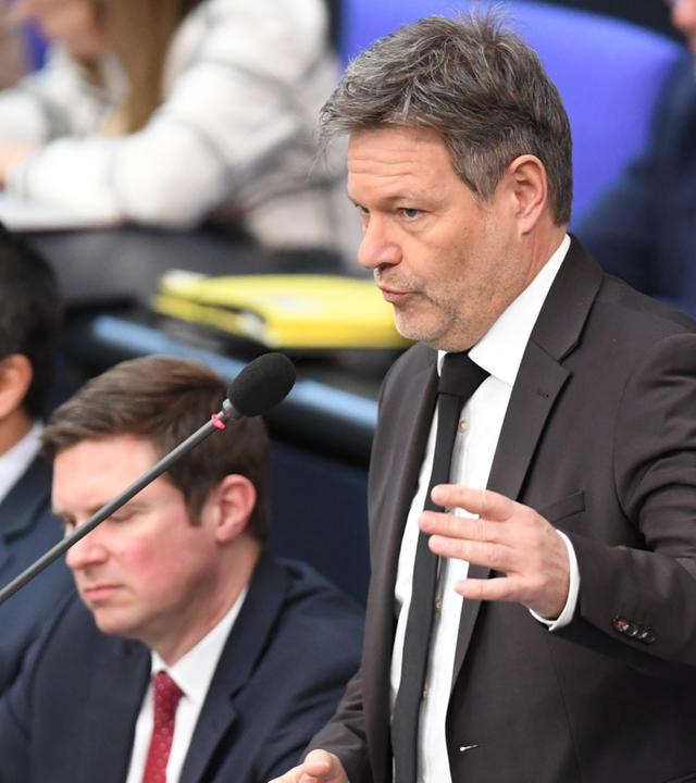 Bundestag befragt Schulze und Habeck