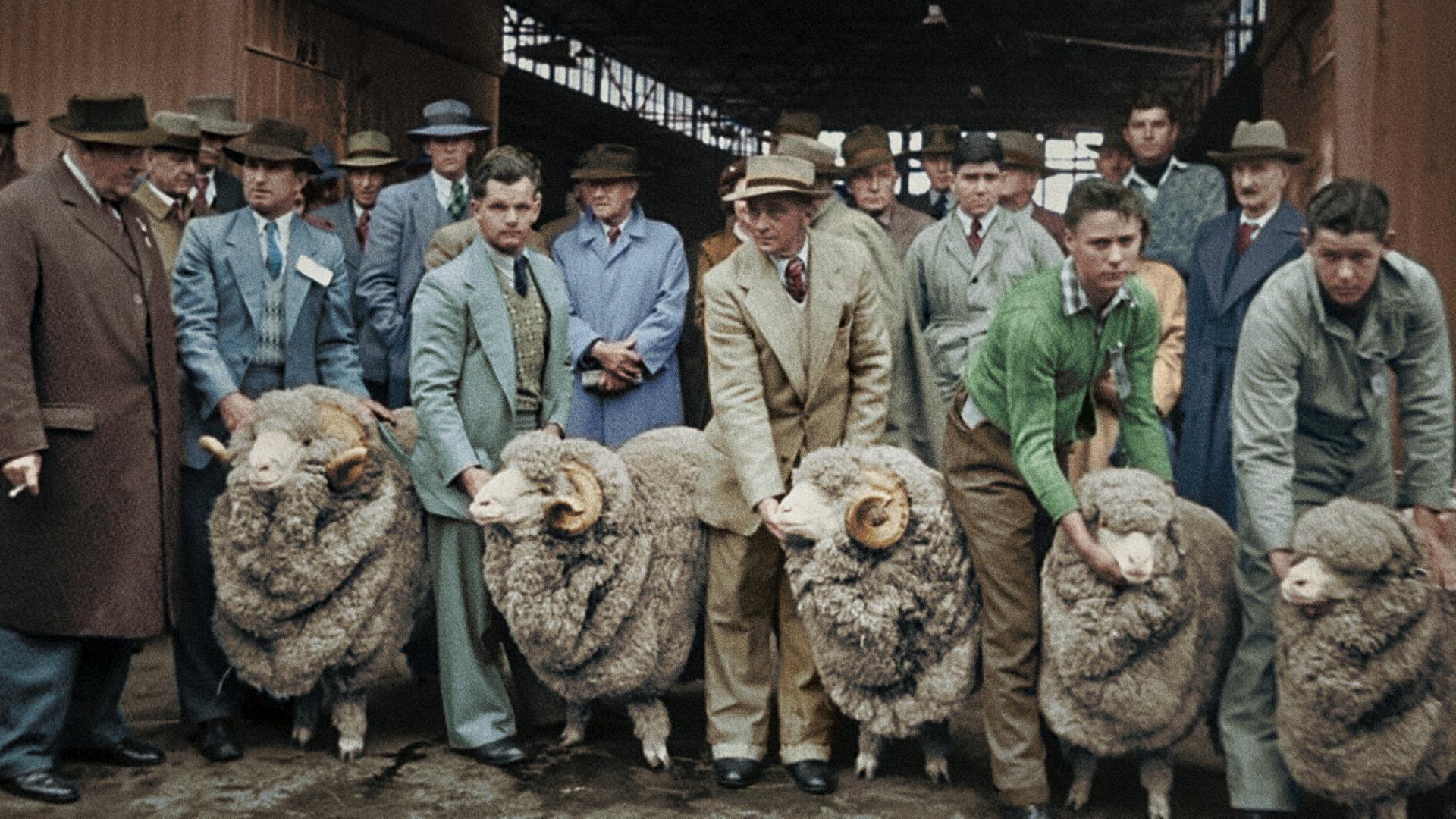 Damals in Australien (4/4)