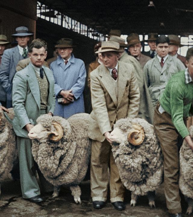 Damals in Australien (4/4)