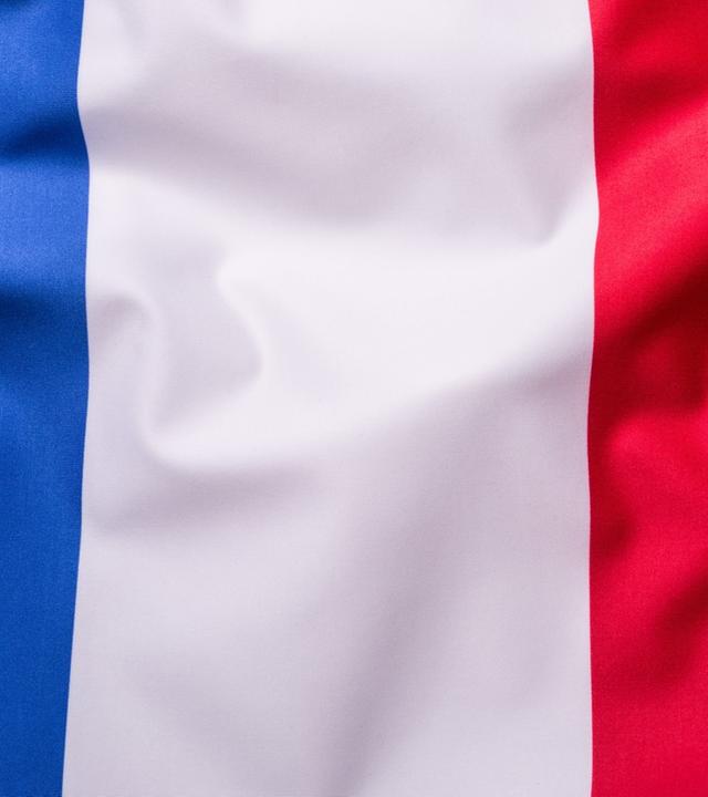 Das Demokratiemodell Frankreichs