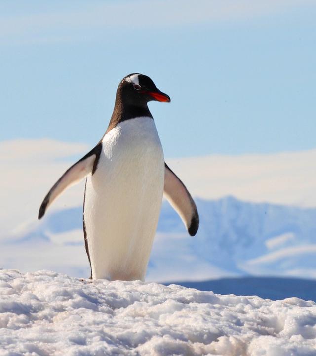 Das Ende des Paradieses - Klimawandel am Polarkreis