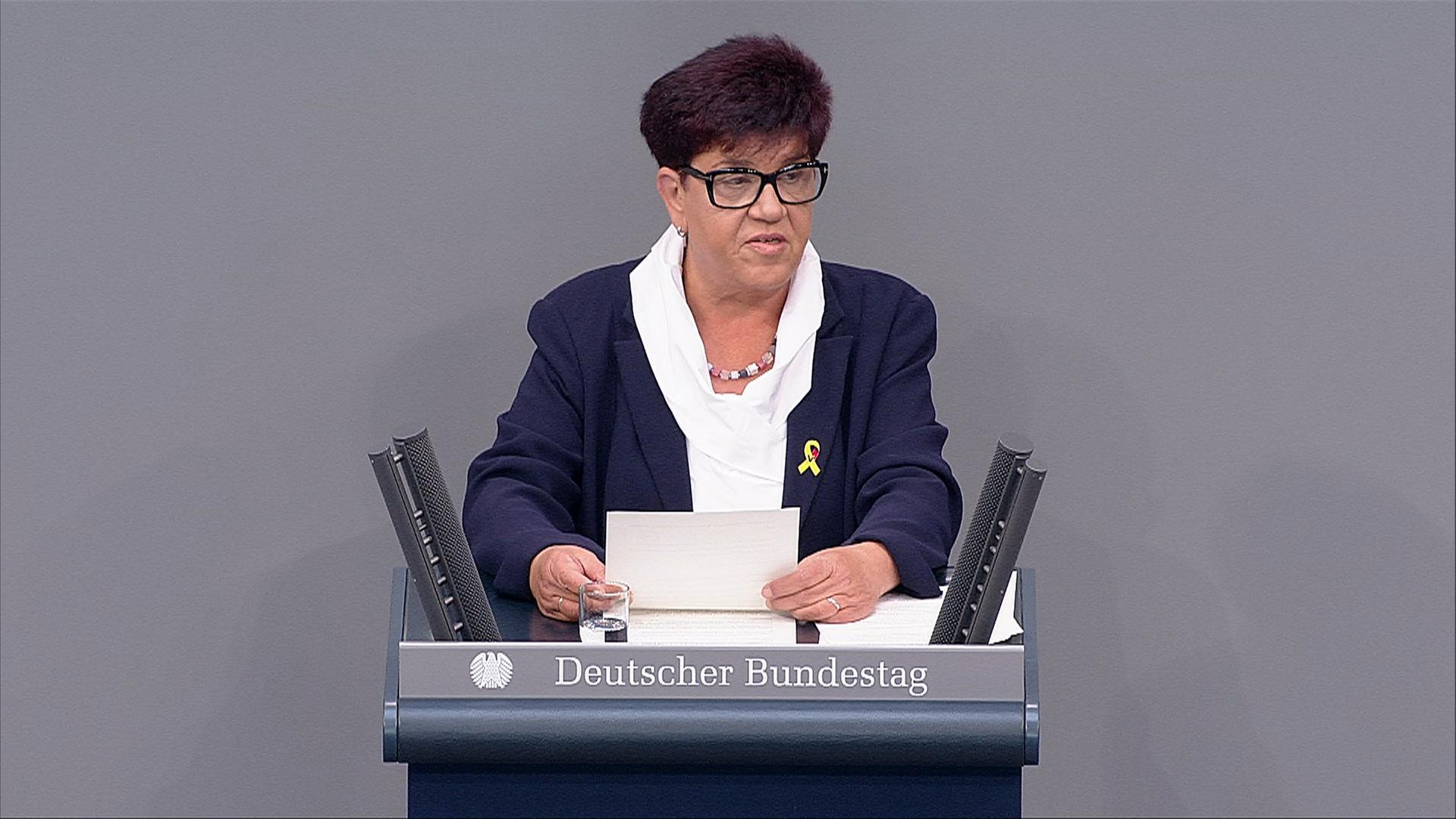 Debatte zum Veteranentag