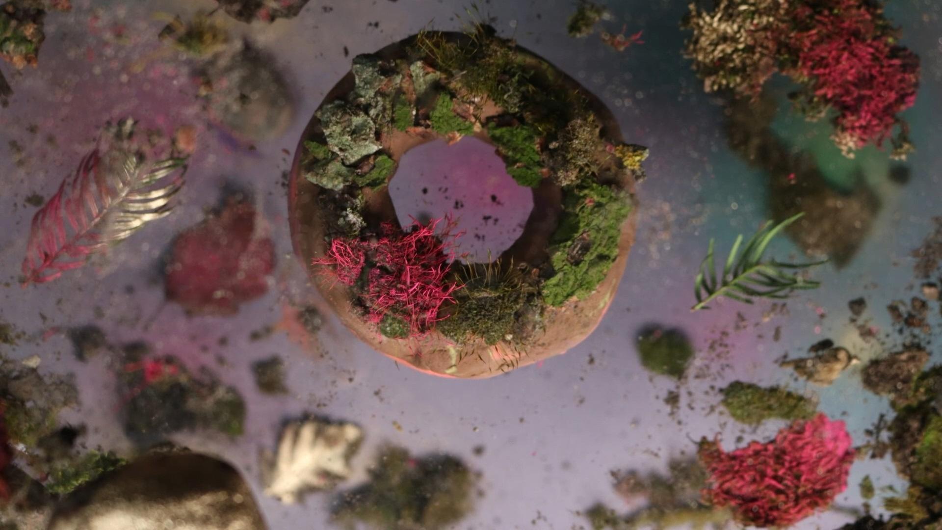 Dem System entwachsen!