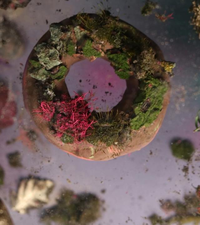 Dem System entwachsen!