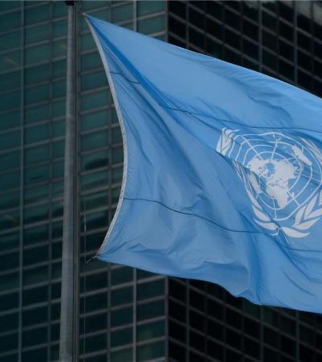 Demokratie international - Die UN