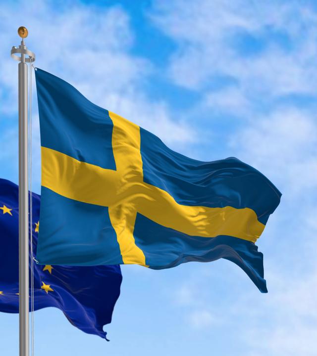 Demokratien in Europa - Das Demokratiemodell Schwedens