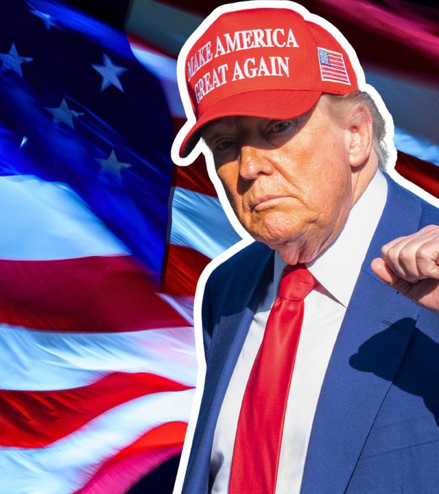 Demontage - Trump und der Rechtsstaat