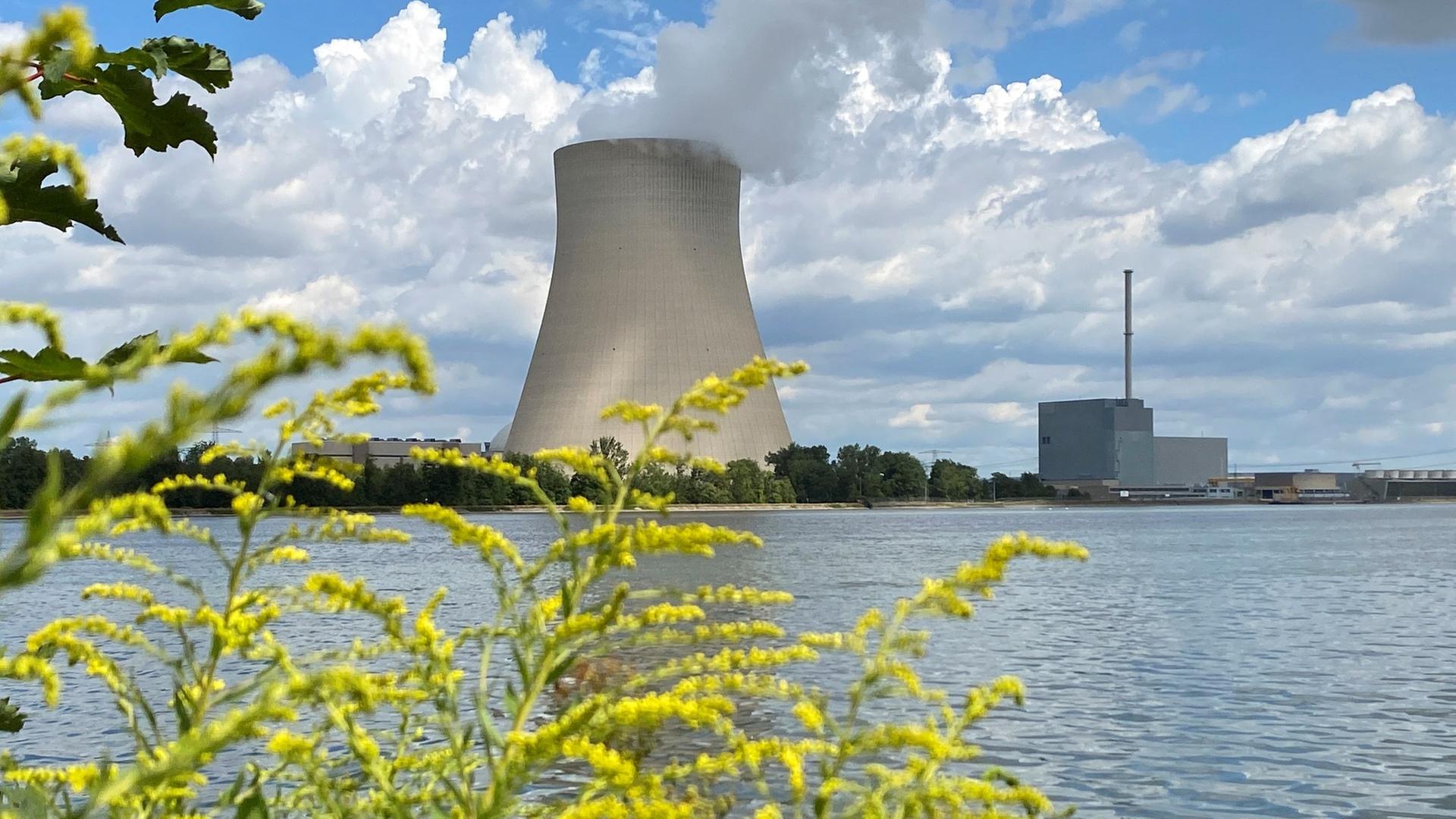 Die Atomkraft-Story