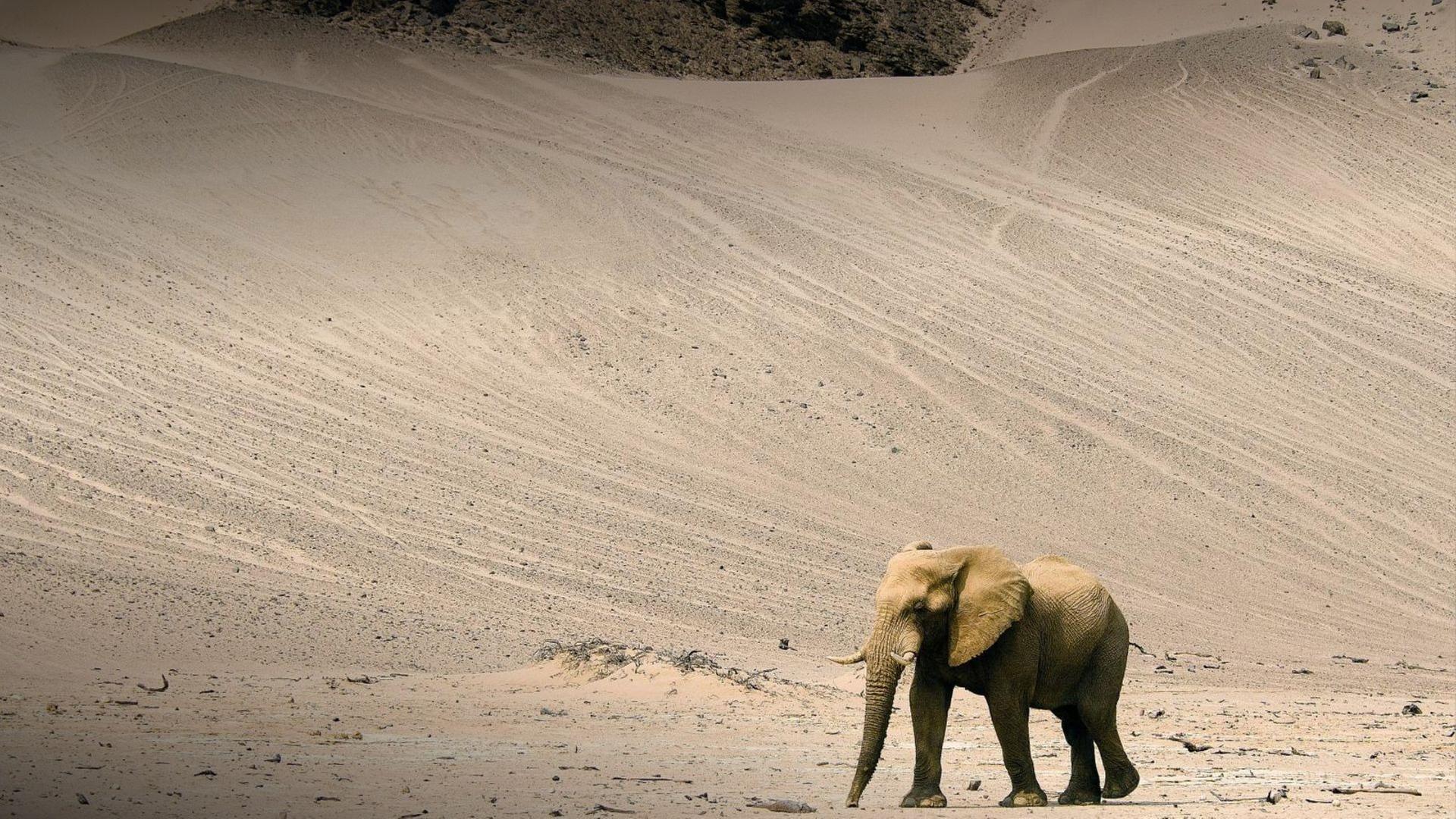 Die wilden Flüsse Afrikas - Hoanib