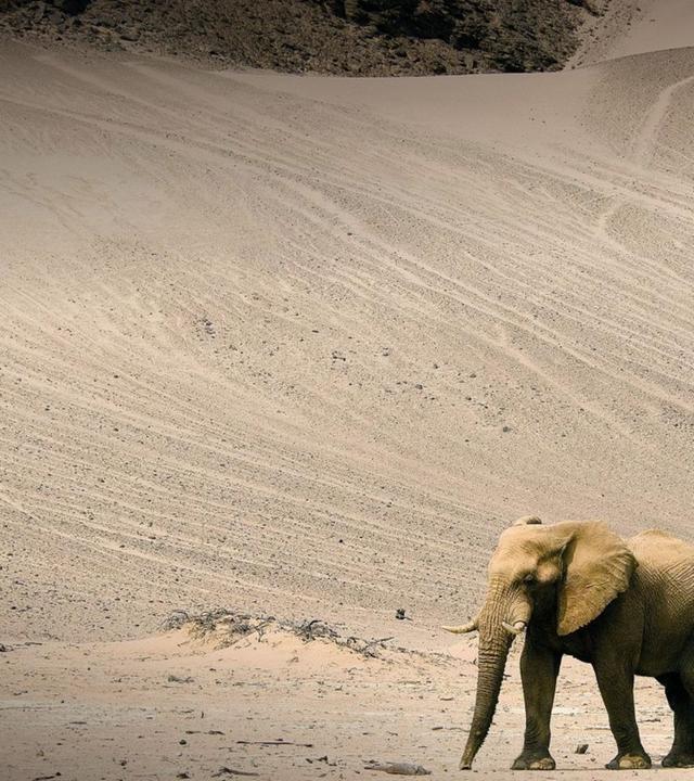 Die wilden Flüsse Afrikas - Hoanib
