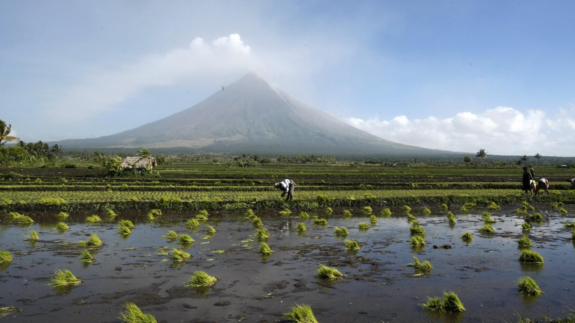 Die wilden Philippinen