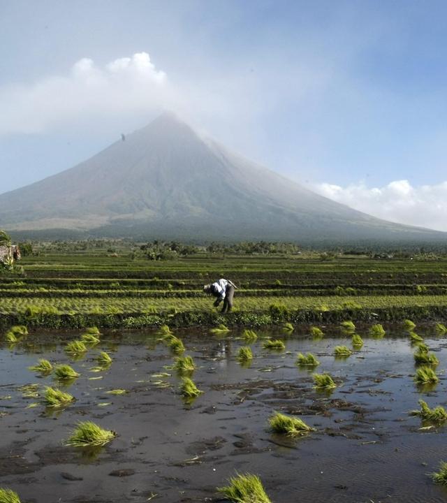 Die wilden Philippinen