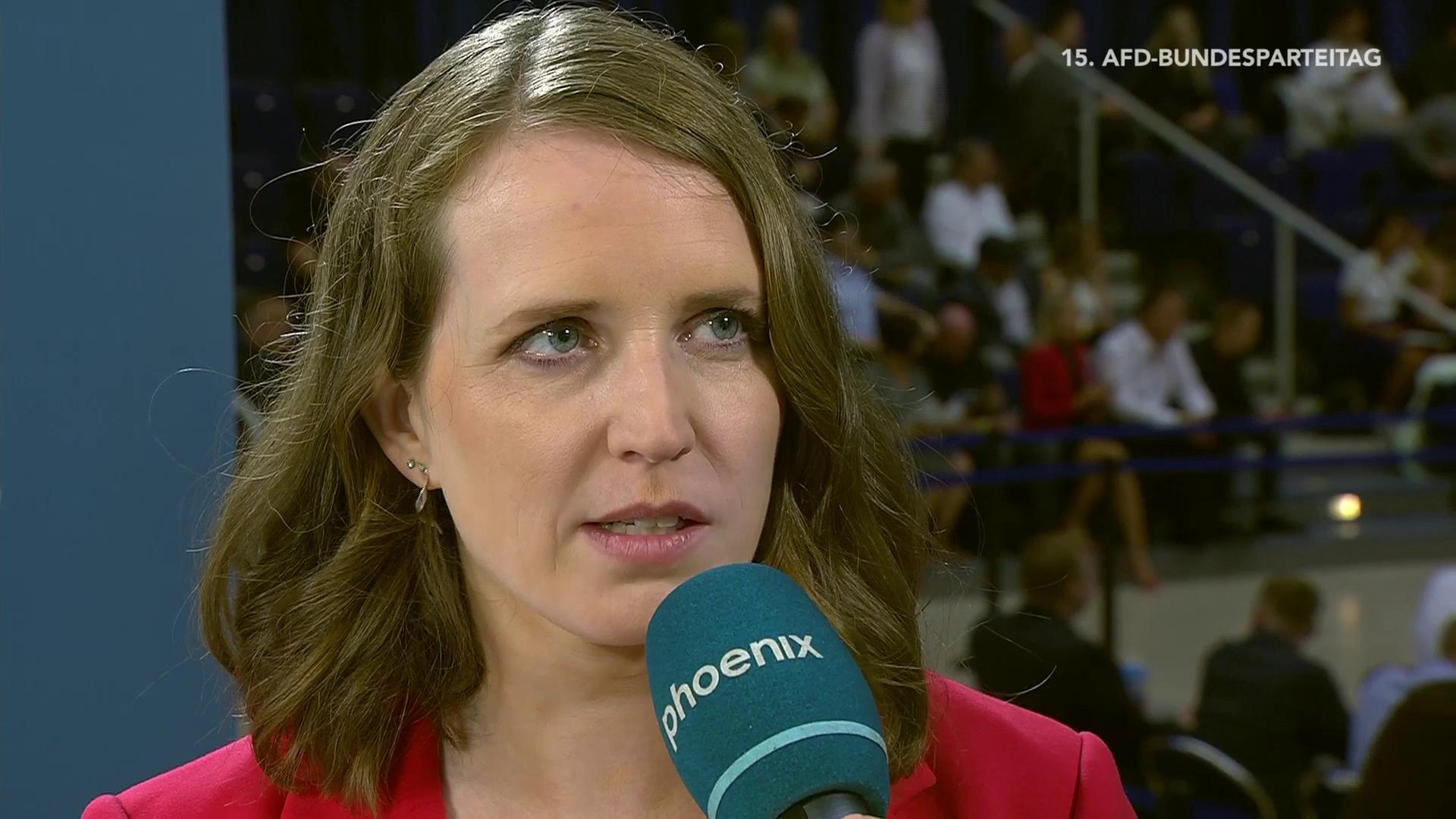 Einschätzungen zum AfD-Parteitag