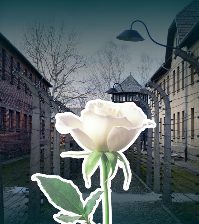 Erinnerungskultur in der Kritik