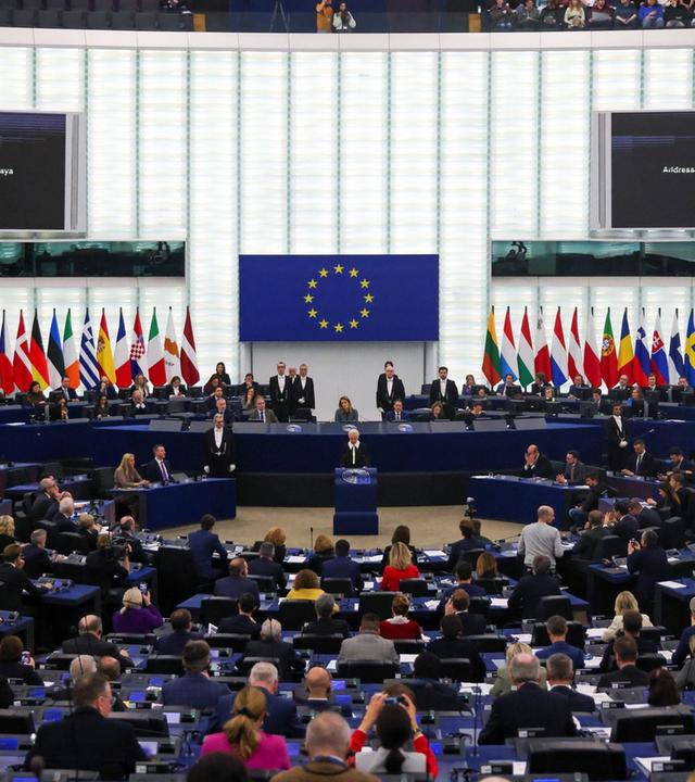 EU-Parlament: Sicherheit und Verteidigung (2/2)