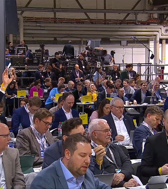 FDP: Europaliste und Wahlprogramm