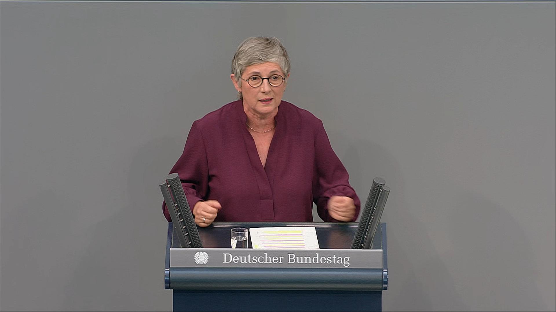 Haßelmann: "Rückwärtsgang in die Vergangenheit"